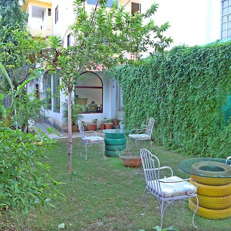 Hotel Tree Of Heaven Udaipur Luaran gambar